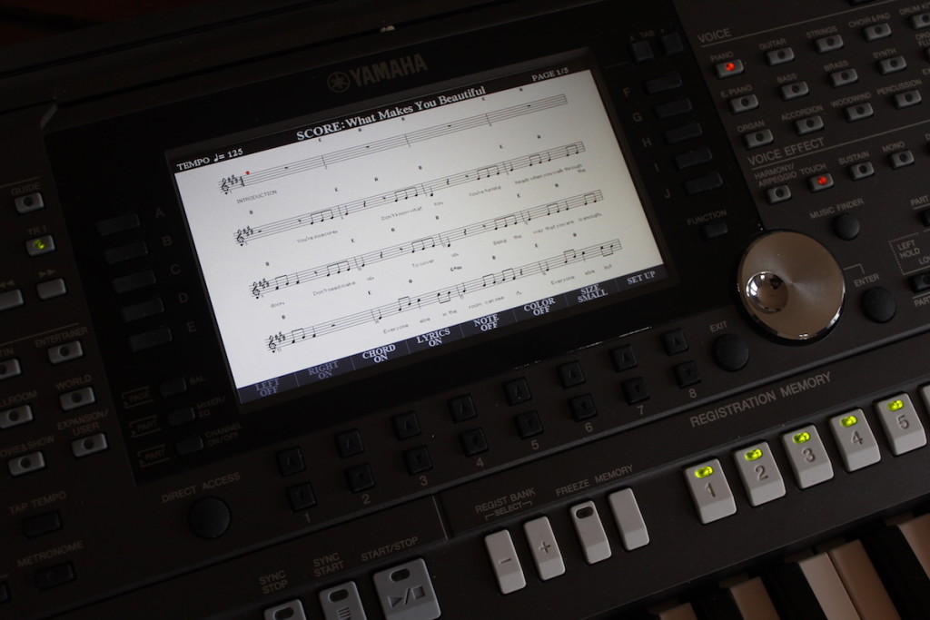 Particolare dello schermo LCD al centro dell'arranger