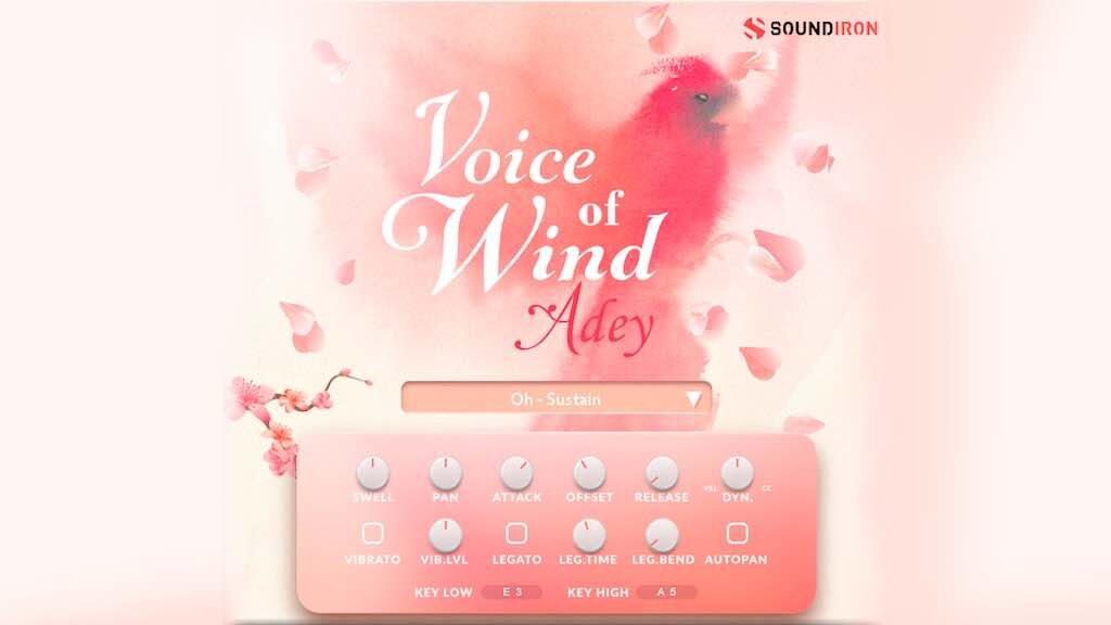 Steinberg Soundiron Voice of Wind Adey virtual instrument software strumenti musicali
