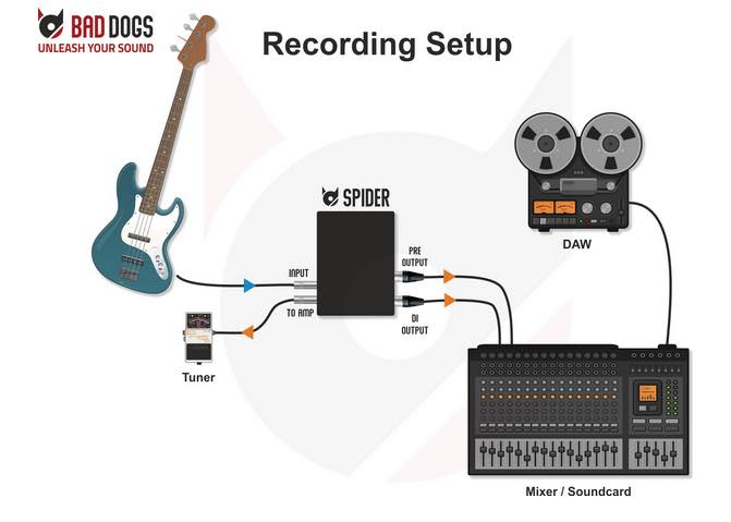 Bad Dogs Spider preamp reamp di box recording studio home project recensione review test andrea scansani strumentimusicali