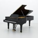 pianoforte virtuale piano Steinway&Sons 8Dio