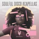 Loopmasters Soulful Disco Acapellas sample library dj producer strumenti musicali