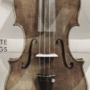 Steinberg Zilhouette Strings cinematique instruments software virtual halion daw strumenti musicali