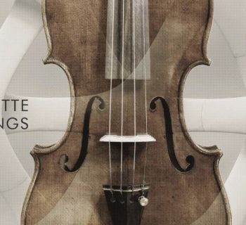 Steinberg Zilhouette Strings cinematique instruments software virtual halion daw strumenti musicali