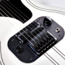Ozark Supro strumenti musicali
