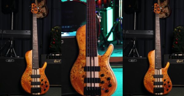 Cort Artisan A5 Plus SC basso backline strumenti musicali