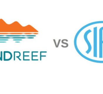 Soundreef vs siae strumenti musicali
