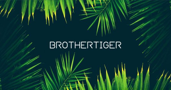 RolandCloud Brothertiger soft synth roland preset patch collection producer music strumenti musicali roland software