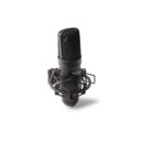 Marantz Pro MPM-2000U microfono USB recording podcast broadcast soundwave