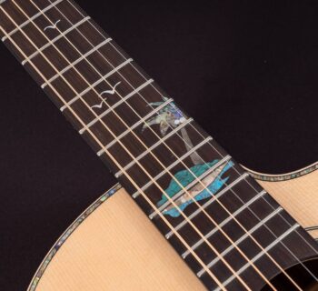 Washburn Midiware chitarra elettrica guitar acustica strumentimusicali