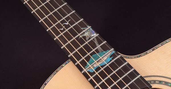 Washburn Midiware chitarra elettrica guitar acustica strumentimusicali