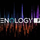 Roland Zenology FX update soft synth software daw strumentimusicali