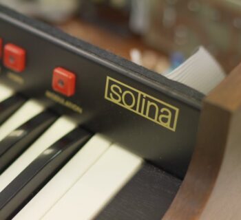 Behringer Solina String Ensemble tastiera synth organ strumentimusicali