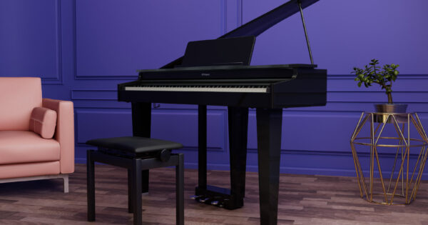 roland gp