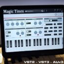 gsi magic tines