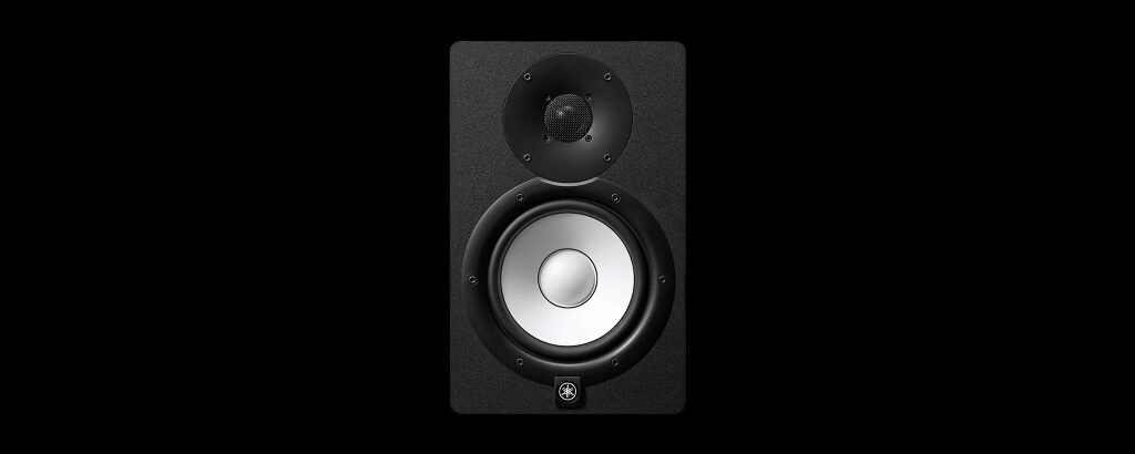 monitor hs