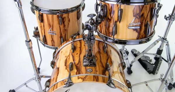 African Marble Shell set