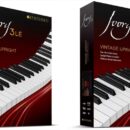 Ivory 3 LE