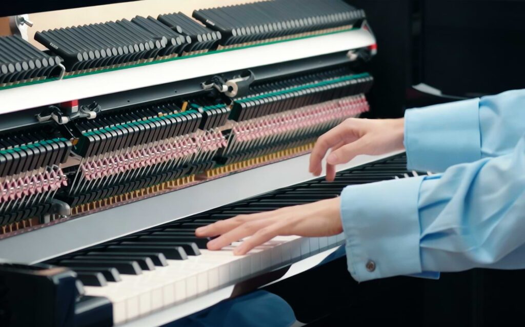 kawai novus nv