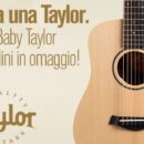 taylor guitars