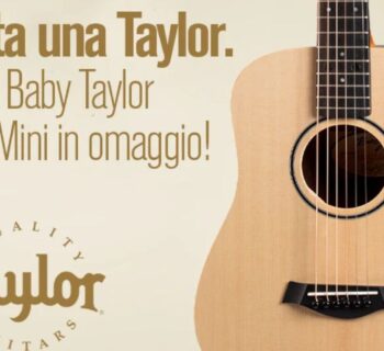 taylor guitars