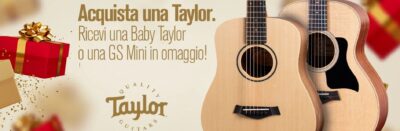 taylor guitars