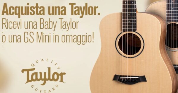 taylor guitars