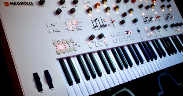 magnolia frap tools gianni proietti gattobus tes sm strumenti musicali