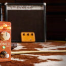 IK Multimedia TONEX ONE Double Special