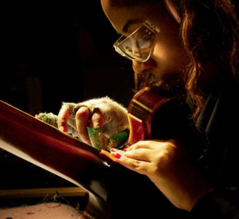 handcrafted in nasvhille