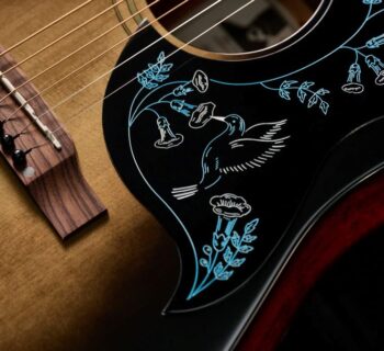 eric church hummingbird