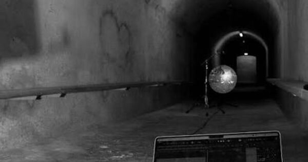 bunkervik reverb nemus project matteo gualeni missing ears physical audio freeware plugin