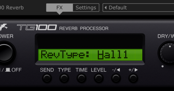 tg100 reverb