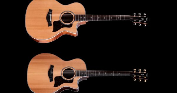 taylor legacy, Taylor, Taylor Guitars, 514ce, 714ce, Legacy Collection, Grand Auditorium, chitarre acustiche, chitarre acustico-elettriche, Bob Taylor