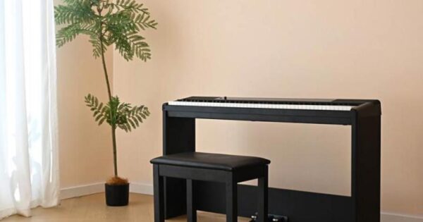 news, Medeli, SP-C120, Frenexport, pianoforti digitali, stage piano, tastiere pesate, USB Audio, USB MIDI