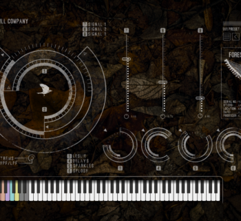 The Crow Hill Company Forest Harps, strumenti virtuali, plug-in VST, sound design, musica ambient, Christian Henson, salterio, colonne sonore, campionamenti, news
